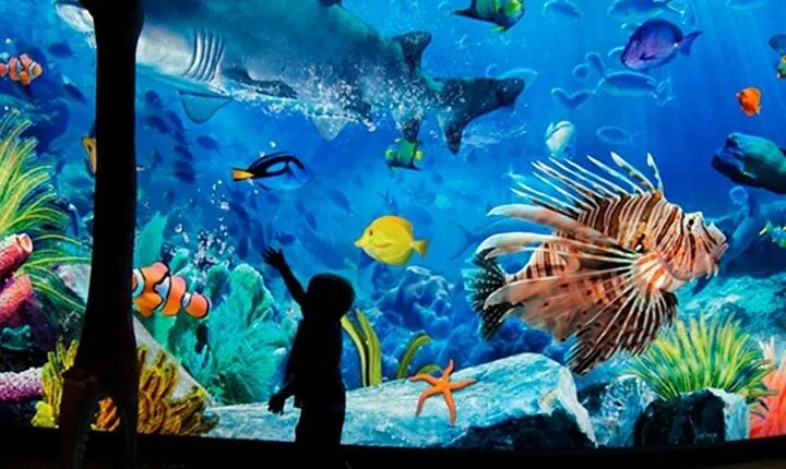 Sea Life Bangkok Ocean World Tickets