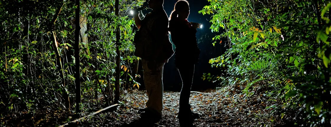Monteverde Cloud Forest Biological Reserve by Night