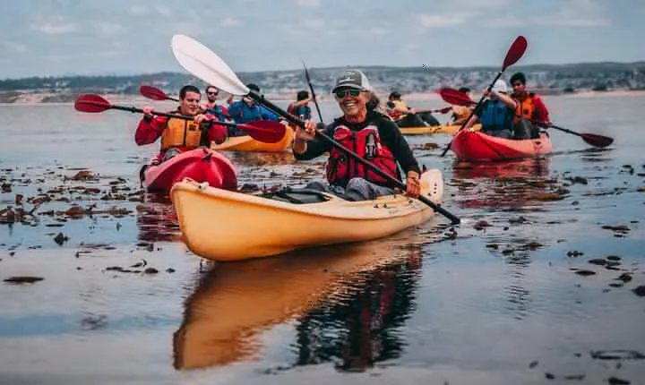Monterey Bay Full-Day Kayak Rental: Otters, Seals and Sea Lions