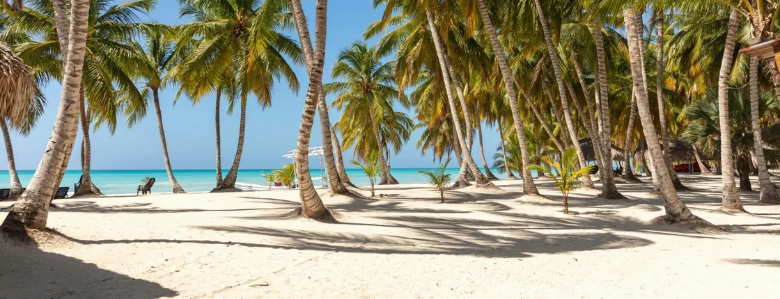 Saona Island catamaran cruise with private beach area and lunch