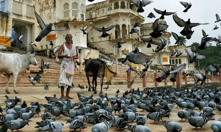 A Day Trip of Pushkar From Jaipur & Back