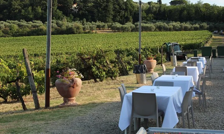From Florence The Immersive Tuscan Winery Experience