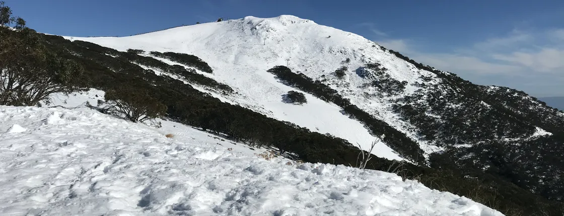 Mount Buller snow day tour