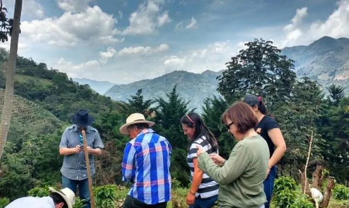 Private Half-Day Coffee Tour at Family Farm Close to Medellín!
