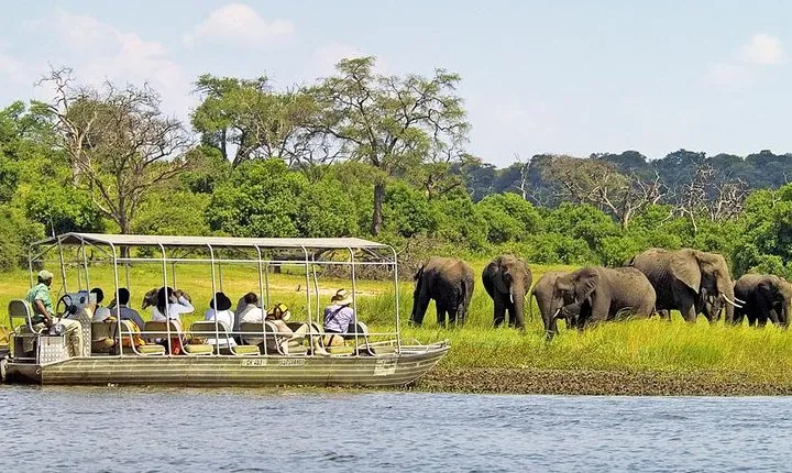 Explore Chobe National Park With a Day Trip from Victoria Falls