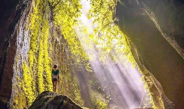 Ubud Swing, Rice Terrace and Waterfall Highlights Tour