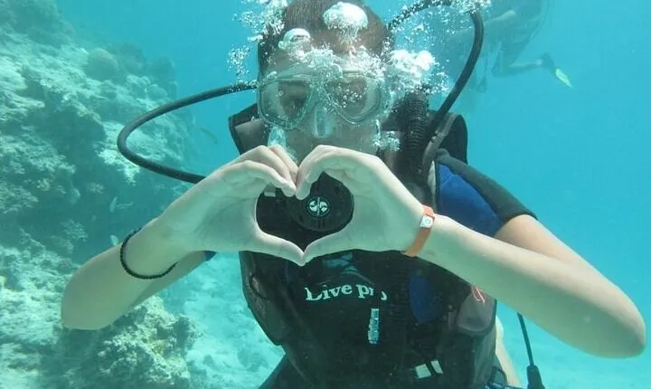 Underwater Discovery for Beginners – Full Day Diving with Lunch