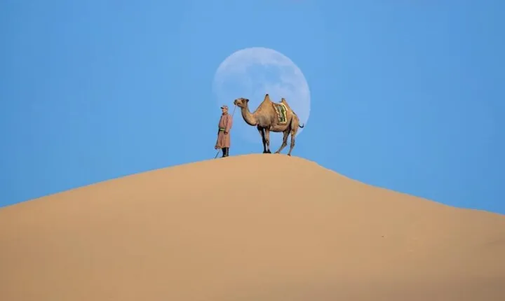 Semi Gobi and Khustai National Park 2 nights and 3 days trip