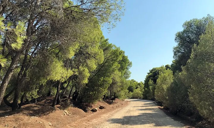 Private Tour to Athens Riviera and Cape Sounion