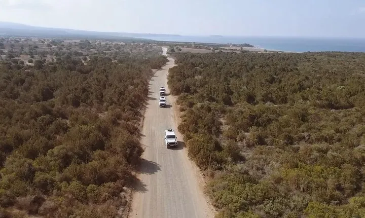 Half day Safari Tour to Akamas Peninsula from Paphos