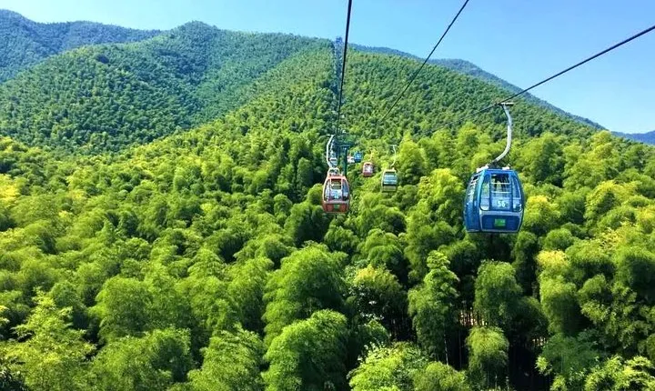 Yixing Bamboo Forest Private Day Tour from Wuxi with Lunch
