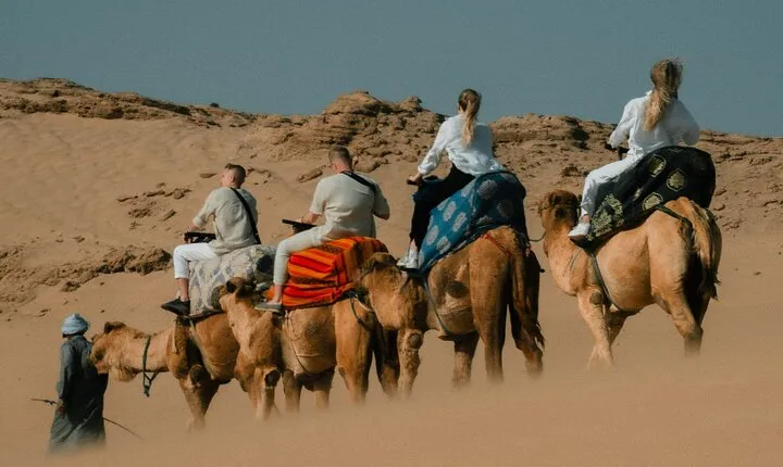 Camel riding and Agadir Desert (Timlalin) tour with Mint tea