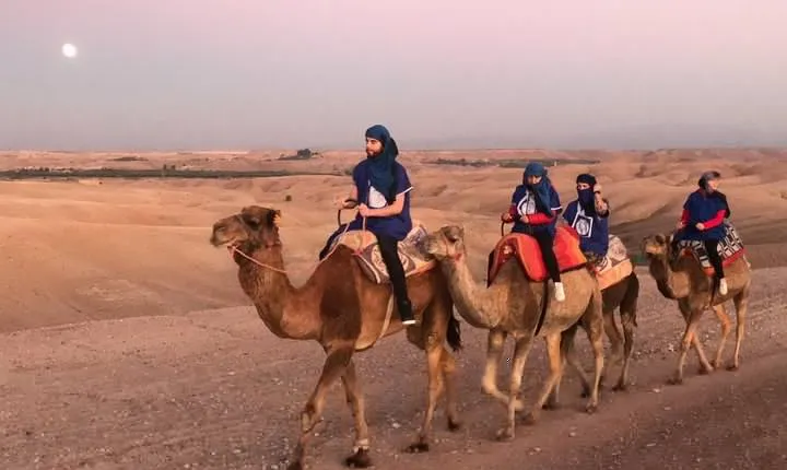Quad bikes & Camel in Agafay Desert with lunch