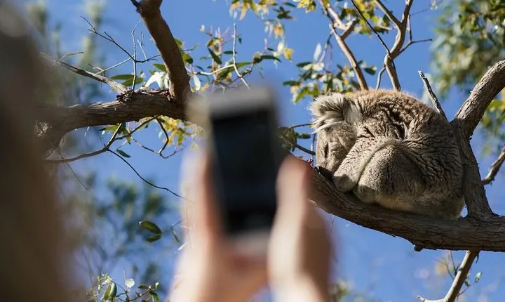 Exceptional Port Lincoln, Seafood and Wildlife Tour