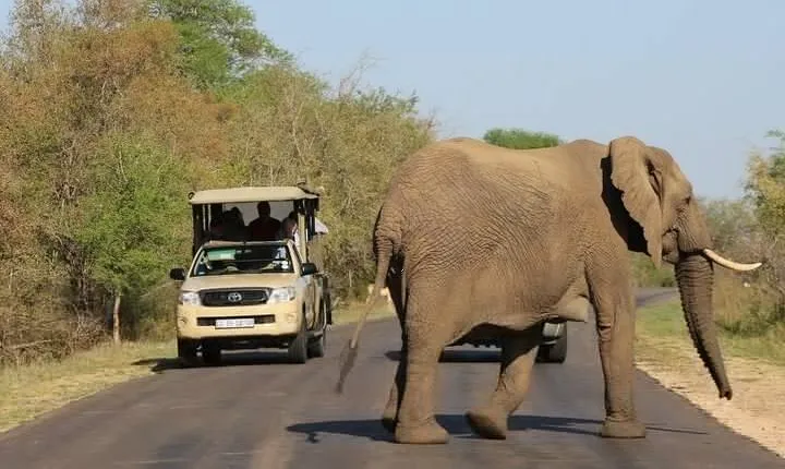 2-Days Kruger Park Safari & Panorama Route Tour from Hazyview