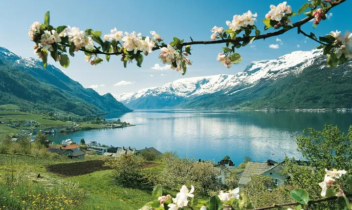 Bergen: Self-Guided Roundtrip (Sognefjord Cruise 5h & Flamsbana)