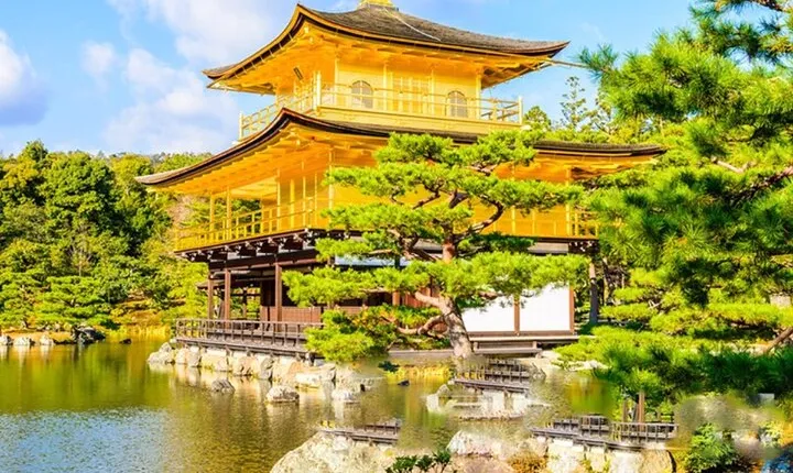Full Day Guided Kyoto Cultural Tour
