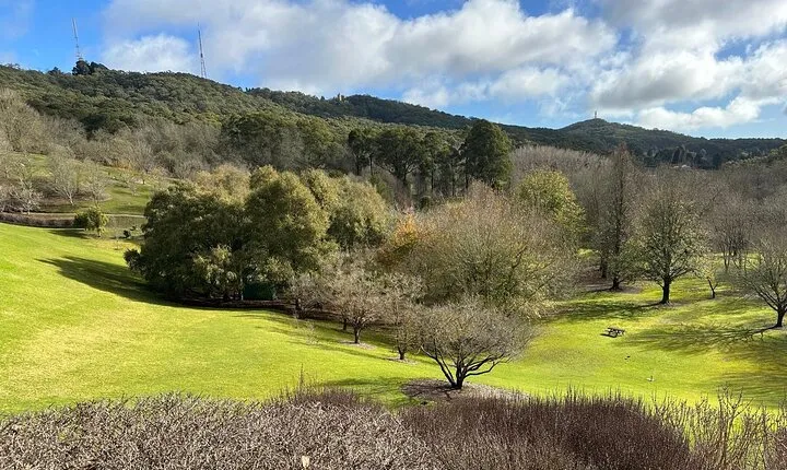 Hahndorf and Hills Wildlife Wonders