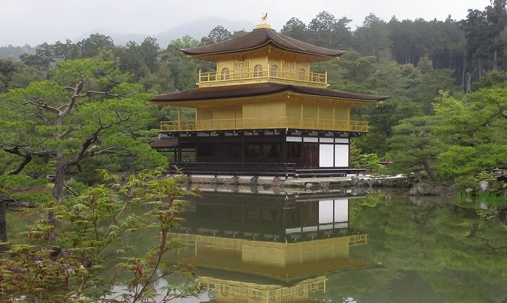 Kyoto ITALIAN GUIDE Golden Pagoda Bamboo Forest Dry Garden