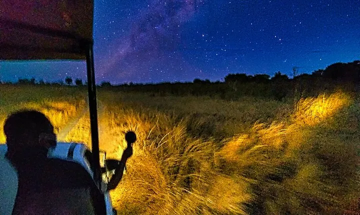 2 Hour Stargazing Tour in Victoria Falls NP Area in 4x4