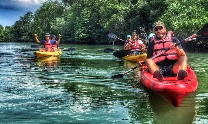 Mangrove Kayaking Adventure in Singapore