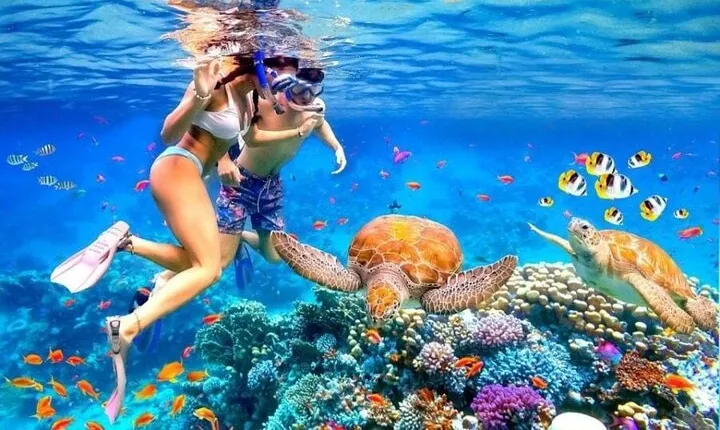 Private Blue Lagoon Snorkeling Lunch All Inclusive