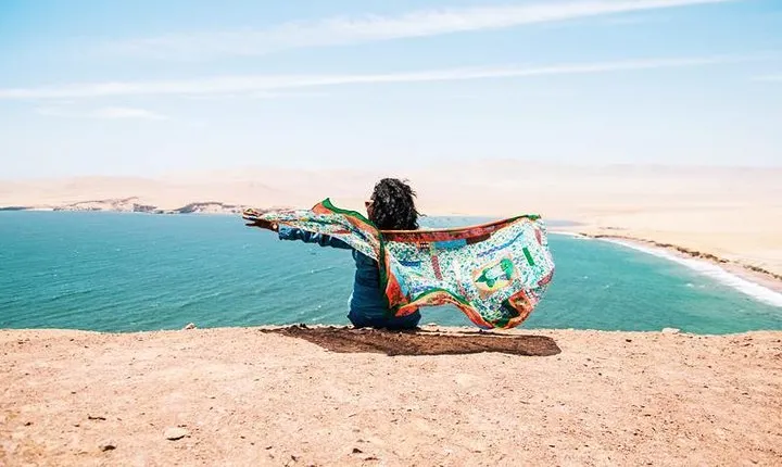 Full Day Tour from Lima: Ballestas Islands and Paracas Reserve