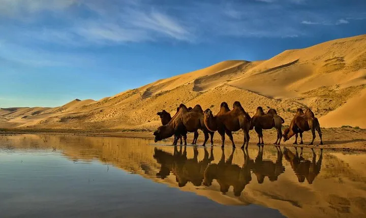 Overnight Semi-Gobi Tour with Nomadic HomeStay