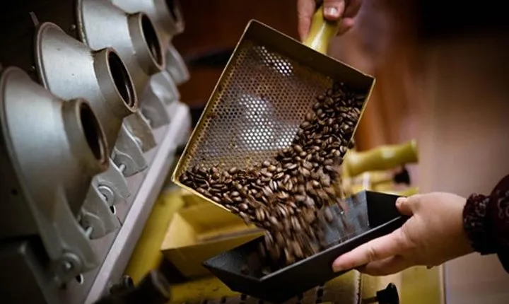 Britt Coffee Tour from San José