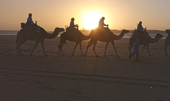 1/2 Day Camel Trekking in Essaouira with Meals