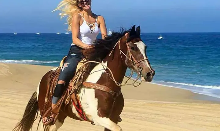 Cabo San Lucas Horseback Ride on Beach and Desert