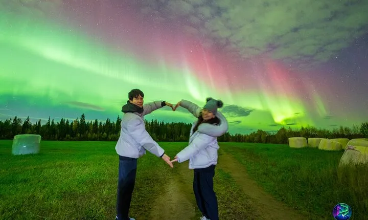 Go on a Northern Lights Photography Tour - Small Group by minivan