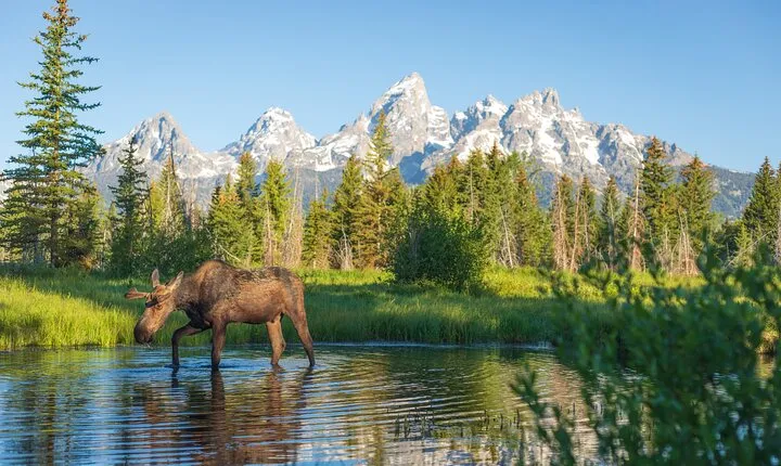 Private 8-Hour Grand Teton Adventure