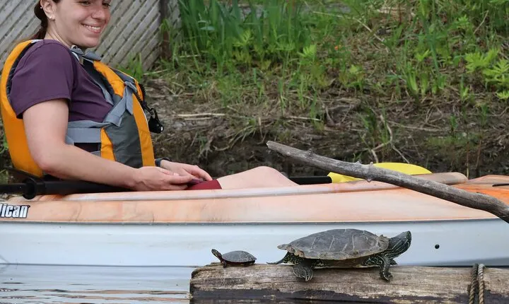 Ottawa Ecological Reserve Kayak Tour with TURTLE Sightings