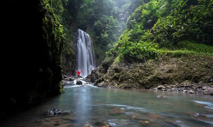 3-in-1 Monteverde Cloud Forest Waterfalls, Wild Trekking and Horseback Riding
