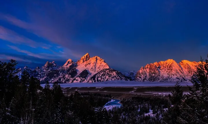 Grand Teton Winter Wildlife Tour