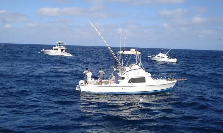 Private Pleasure Trip 31ft Boat 5 pax Capacity