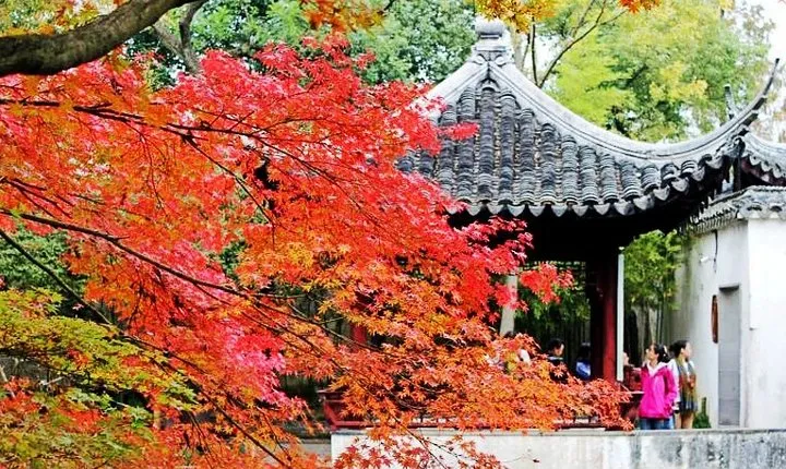 4-Hour Suzhou Private Flexible Tour with Garden and Boat Ride Option