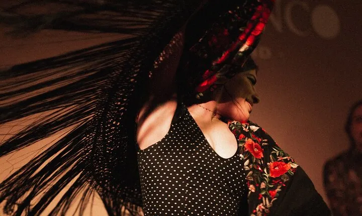 Centro Cultural Flamenco Madrid Admission Ticket