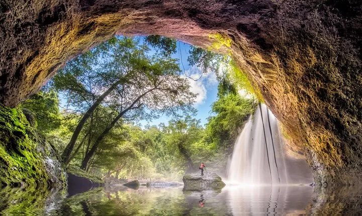 10 Hours Private Hiking in Khao Yai National Park From Bangkok