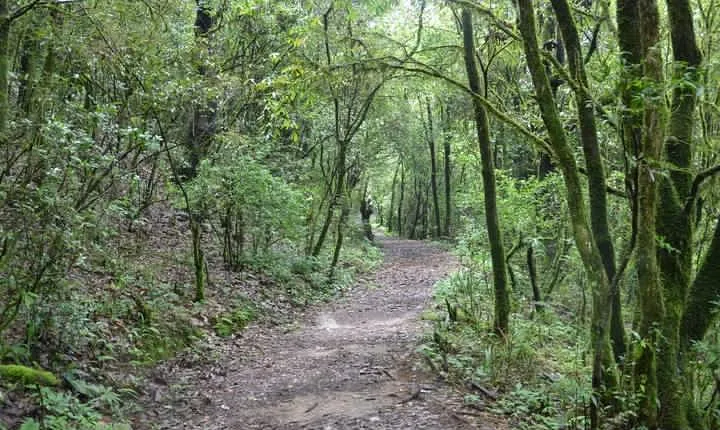Shivapuri National Park Day Hiking - Budanilkantha, Nagi Gumba, Sundarijal Hike