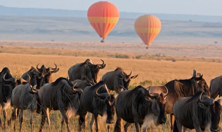 Classic Flying & Open 4X4 Masai Mara Luxury Safari 