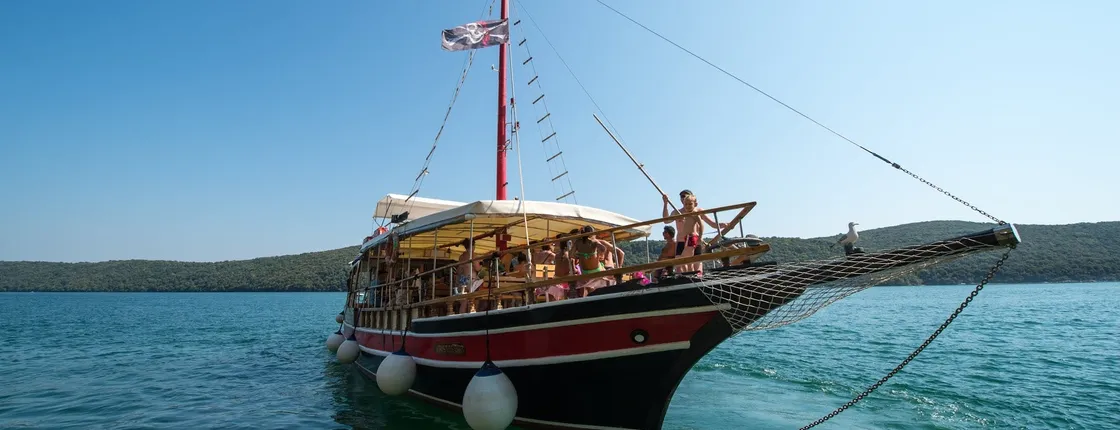 2-hour dolphins and panorama sailing experience from Poreč