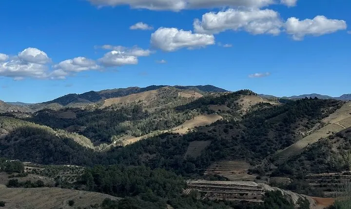 Full Day Guided Experience in Priorat