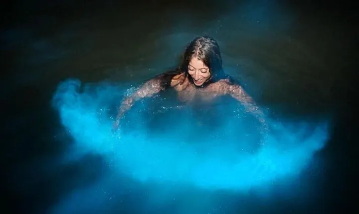Bioluminescent Lagoon Tour: Night Swimming and Liming in Jamaica