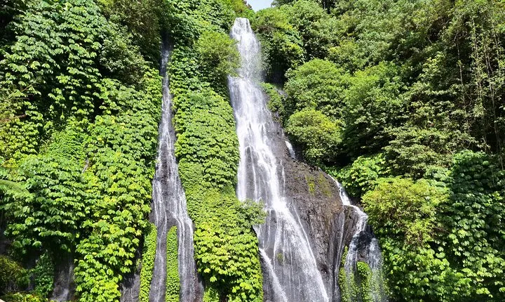 Private Experience Bali Splendor Waterfalls Temple and Rice Field