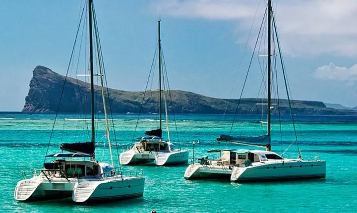 Discover a Full Day Catamaran Cruise 3 Northern Island Adventure