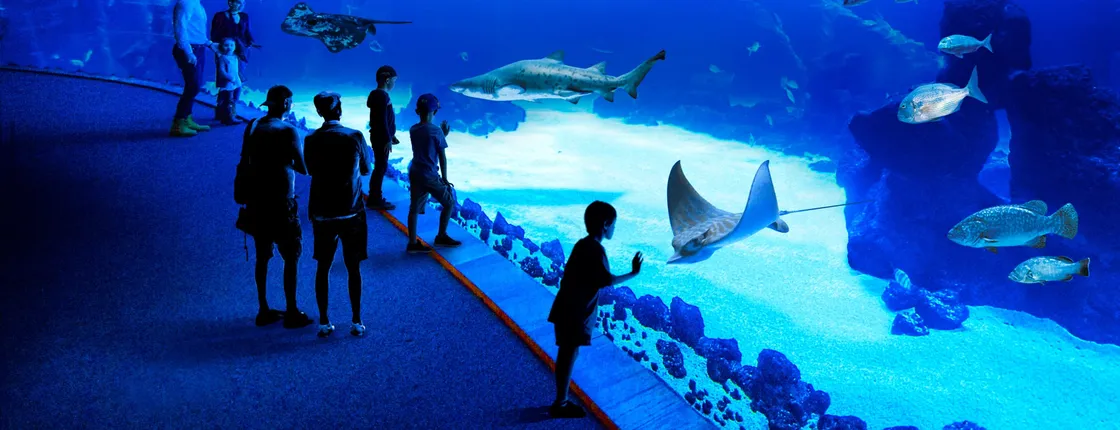 Gran Canaria Experience Tour