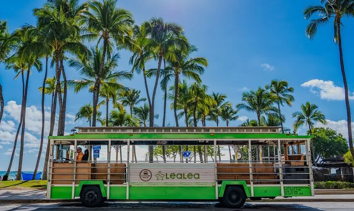 7 Day Pass LeaLea Trolley and Waikiki Trolley Pink Line