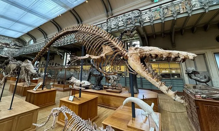 Paris National Museum of History and Garden of Plants Ticket